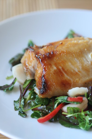 Black Cod Misoyaki